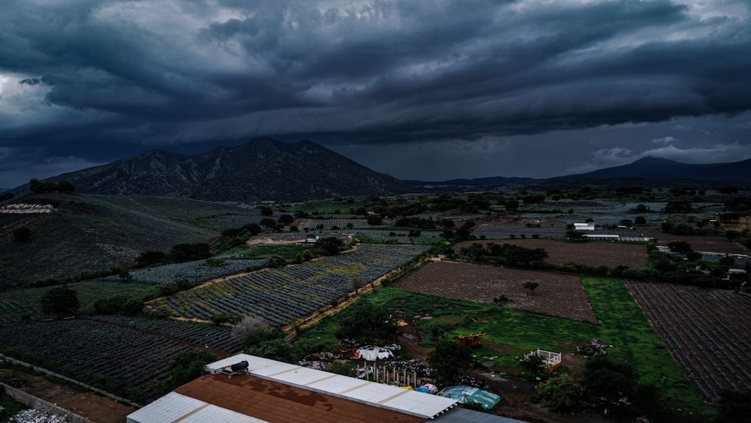 Paisaje agrícola mexicano